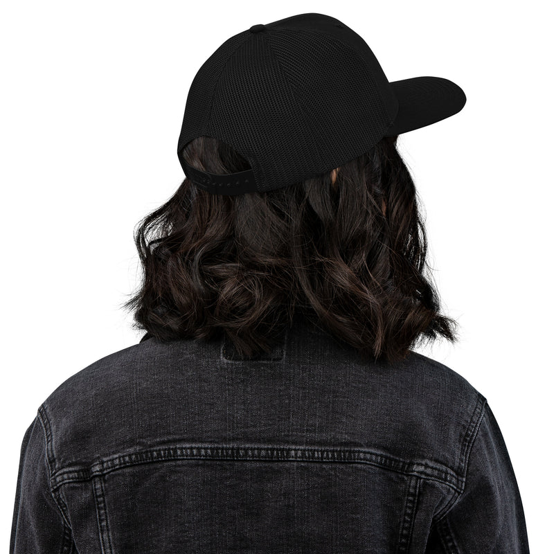 Sanctum Vault Lion Embroidered Snapback