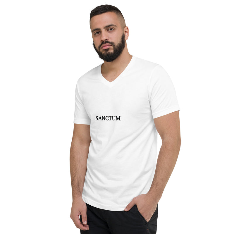 Unisex Classic V-Neck T-Shirt